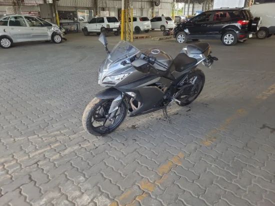 Kawasaki Ninja 300 ANO 2013/2014